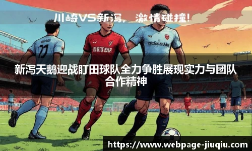9球高清直播